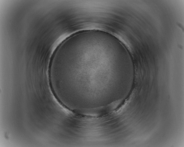 X0000097890943200803141330