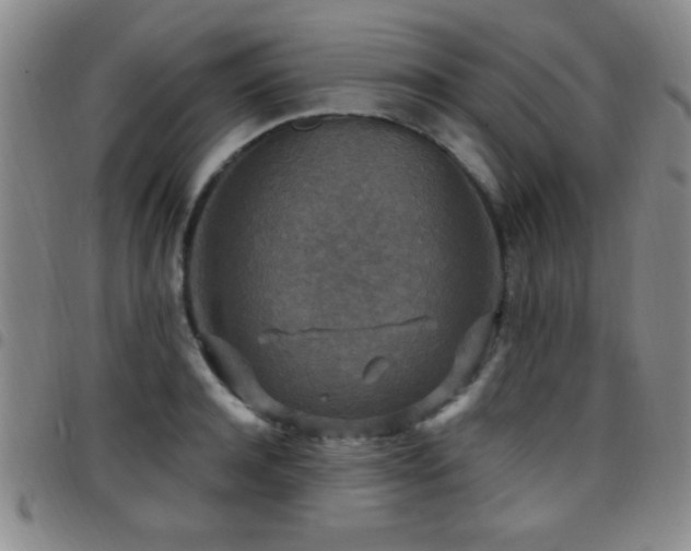 X0000097890944200803141330