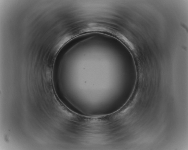 X0000097890945200803141330