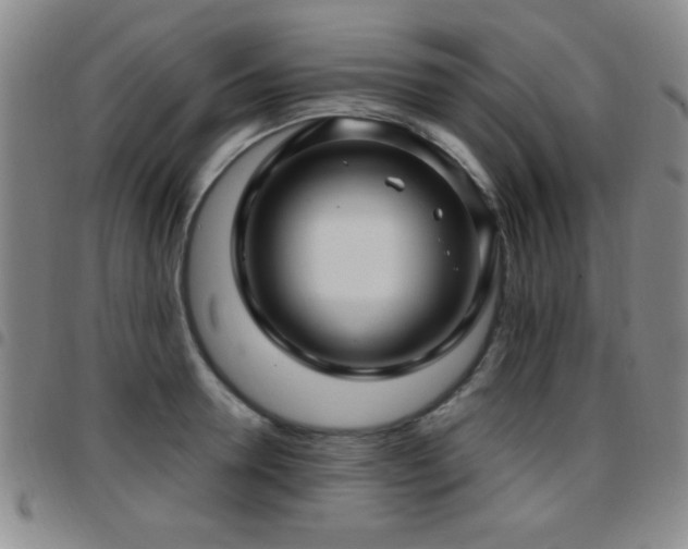 X0000097890946200803141330