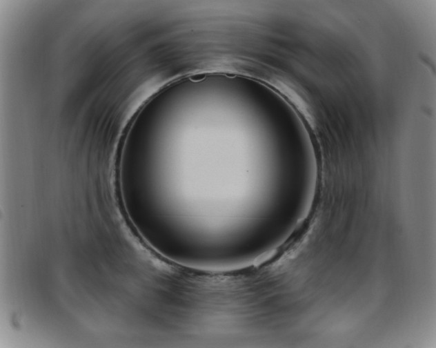 X0000097890949200803141330