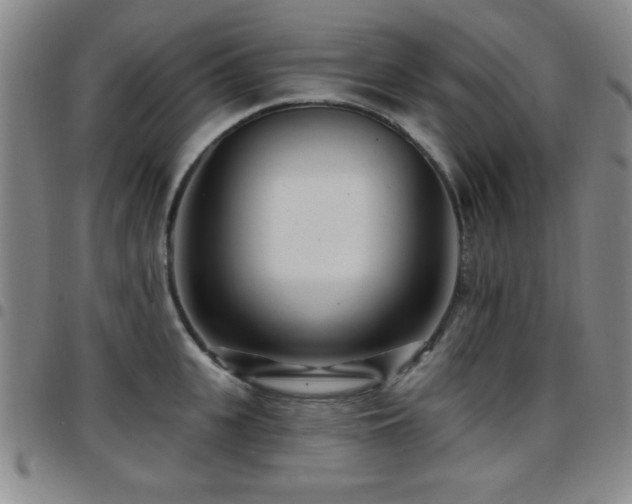 X0000097890951200803141330