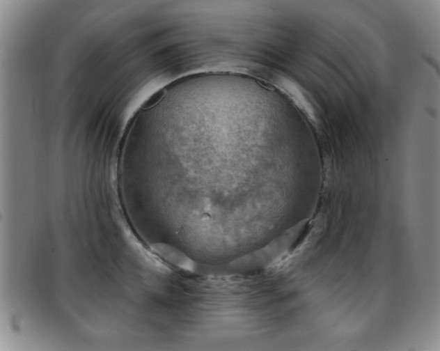 X0000097890952200803141330
