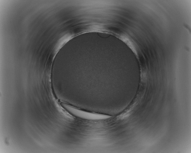 X0000097890954200803141330