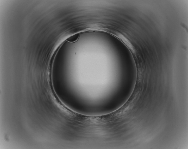 X0000097890955200803141330