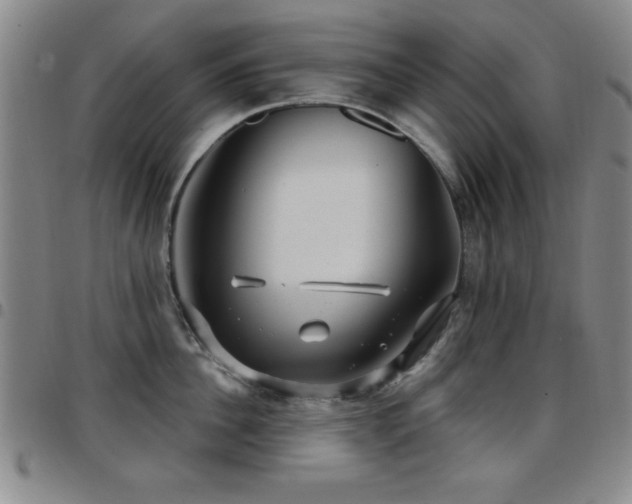 X0000097890956200803141330