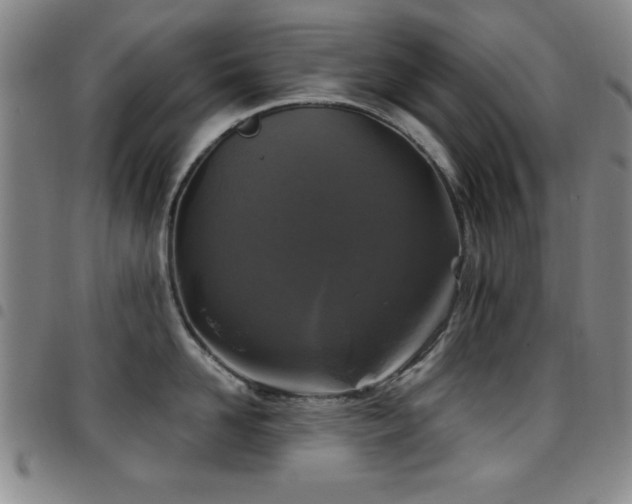 X0000097890958200803141330