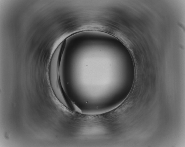 X0000097890960200803141330