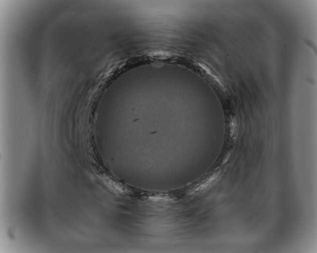 X0000097890961200803141329