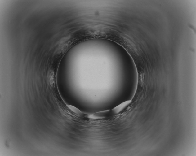 X0000097890963200803141329