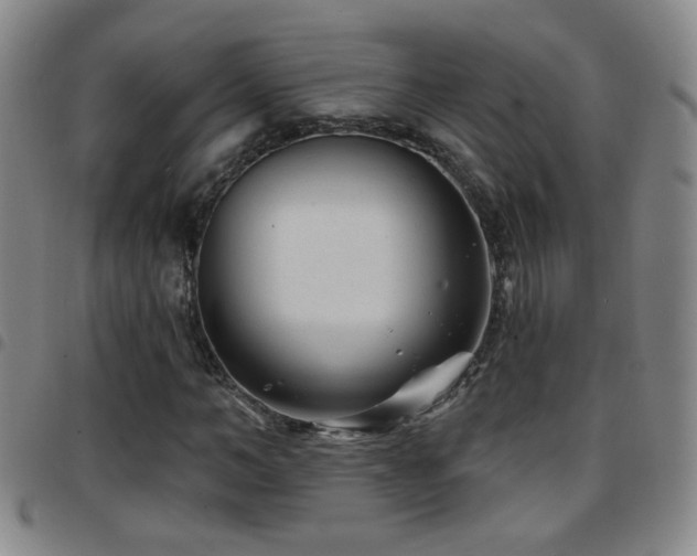 X0000097890966200803141329