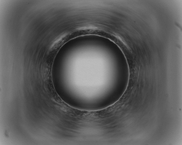 X0000097890967200803141329