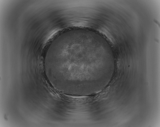 X0000097890968200803141329