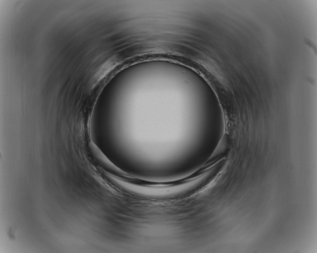 X0000097890969200803141329