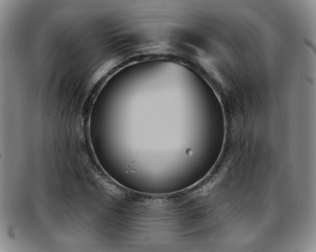 X0000097890970200803141329