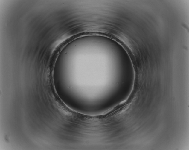 X0000097890971200803141329