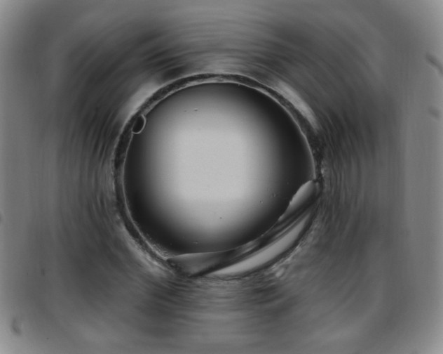 X0000097890972200803141329