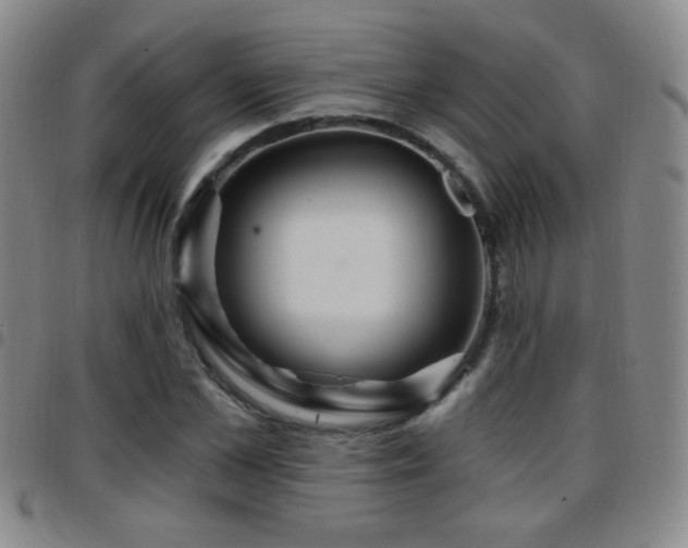 X0000097890973200803141329