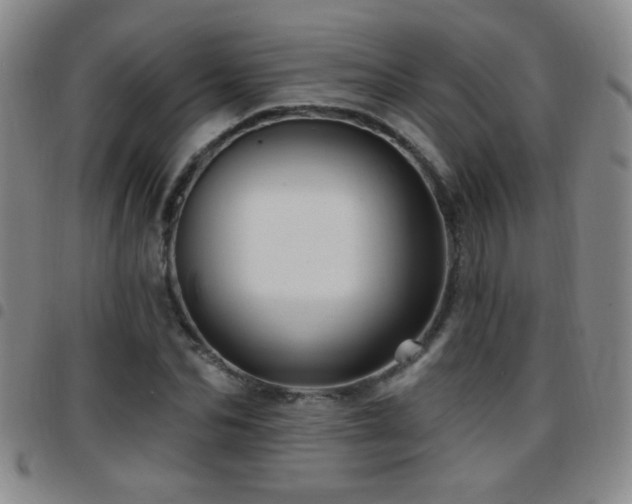 X0000097890974200803141329