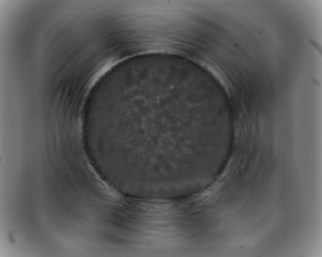 X0000097890975200803141329
