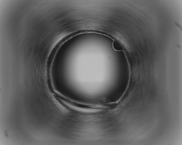 X0000097890976200803141329