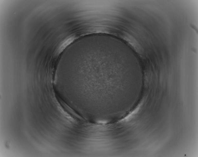 X0000097890977200803141329