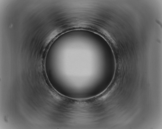 X0000097890978200803141329