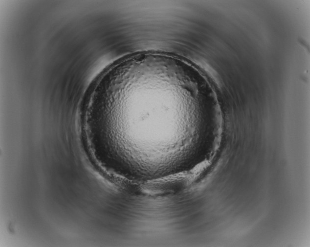 X0000097890983200803141329