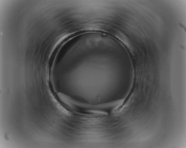 X0000097890984200803141329