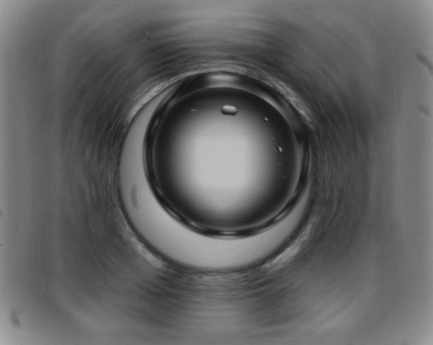 X0000097890985200803141329
