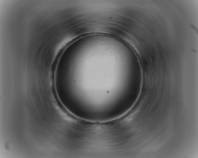 X0000097890987200803141329