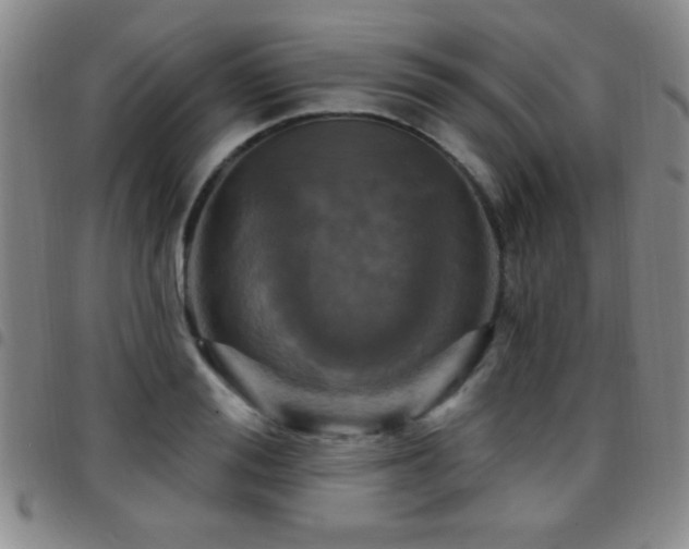 X0000097890988200803141329