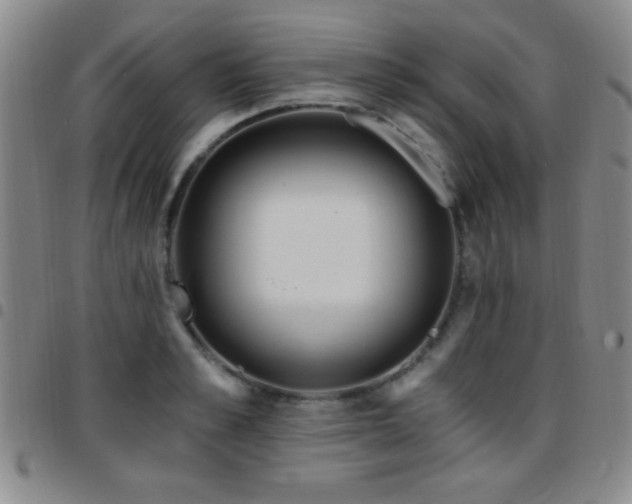 X0000097890989200803141329