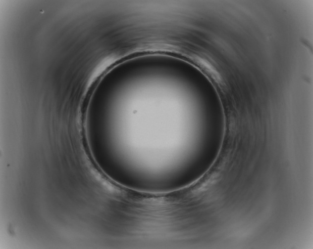 X0000097890990200803141329