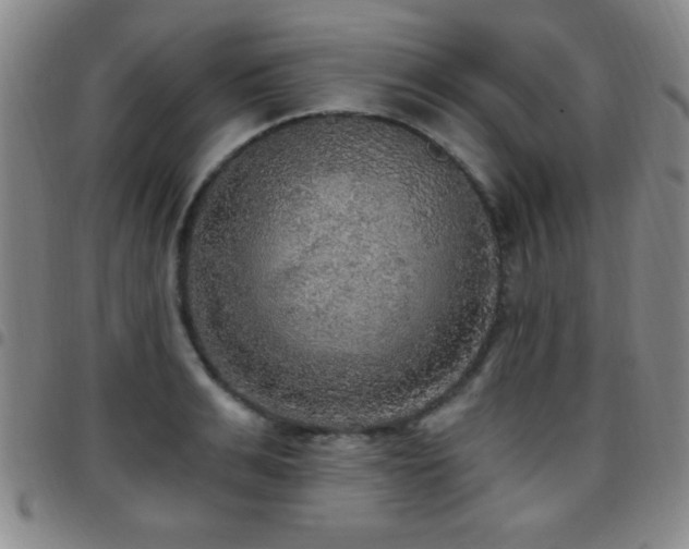 X0000097890991200803141329