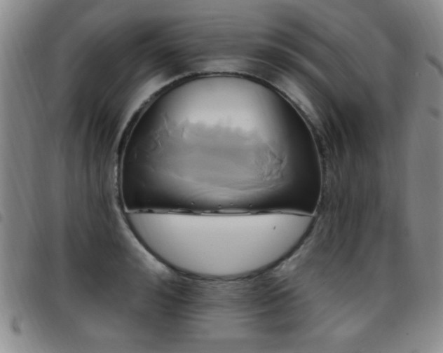 X0000097890992200803141329