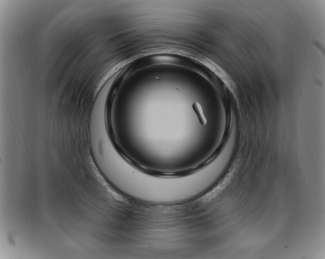 X0000097890993200803141329