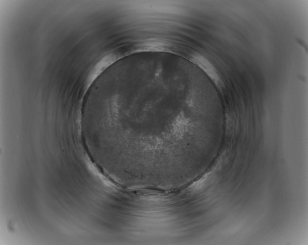 X0000097890994200803141329