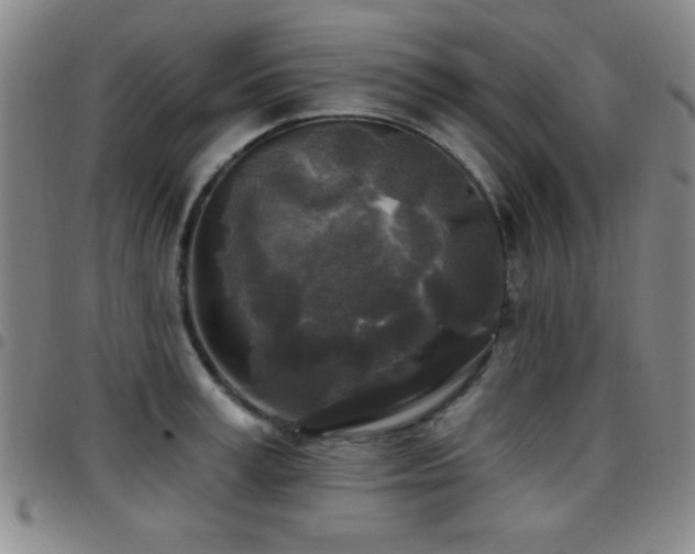 X0000097890995200803141329