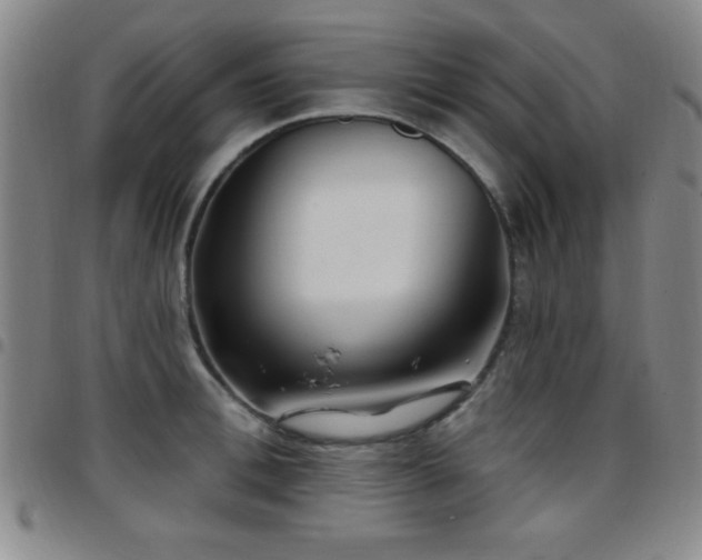 X0000097890996200803141329