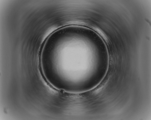 X0000097890999200803141329