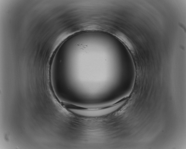 X0000097891000200803141329