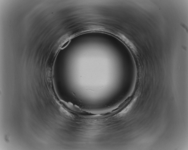 X0000097891001200803141329