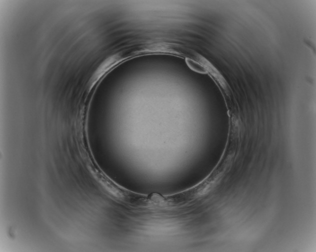 X0000097891002200803141328