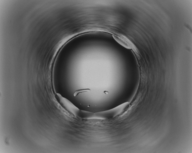 X0000097891004200803141328