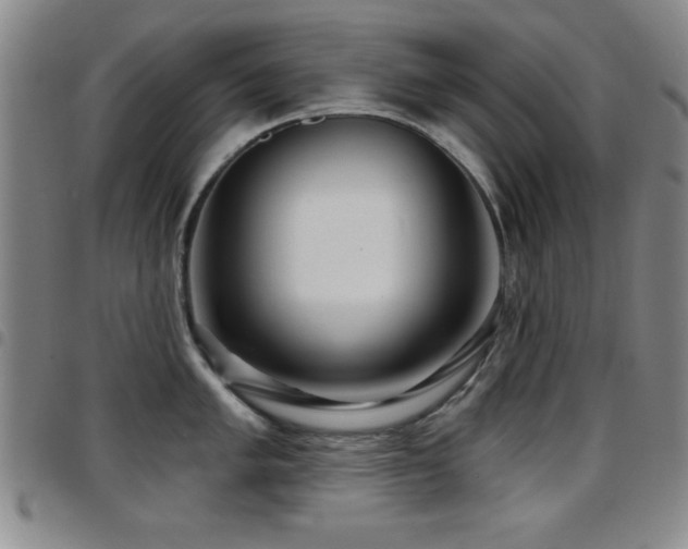 X0000097891005200803141328