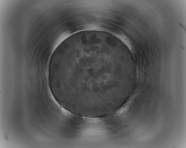 X0000097891007200803141328