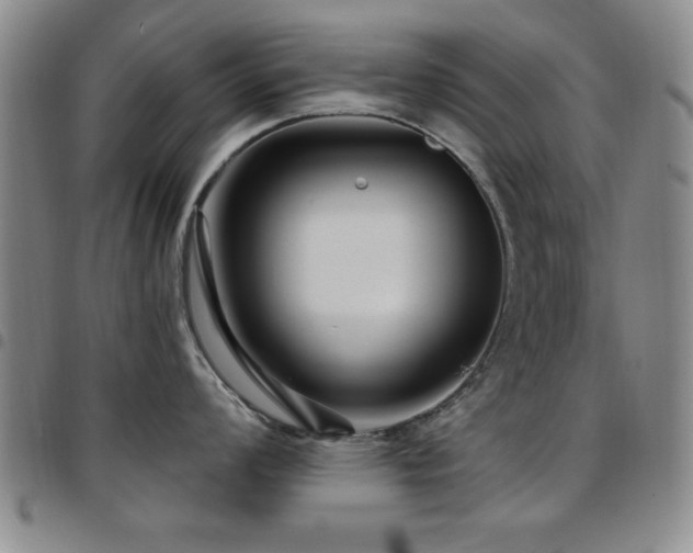 X0000097891008200803141328