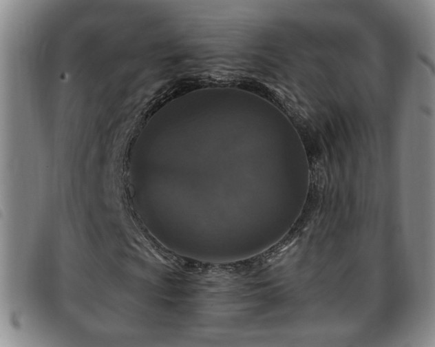 X0000097891009200803141328