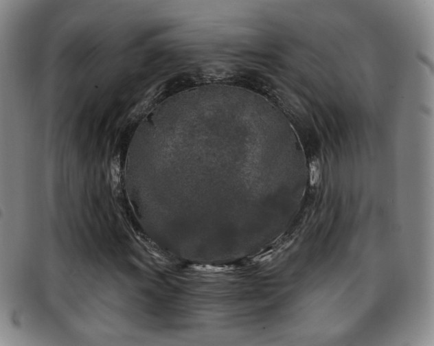 X0000097891011200803141328